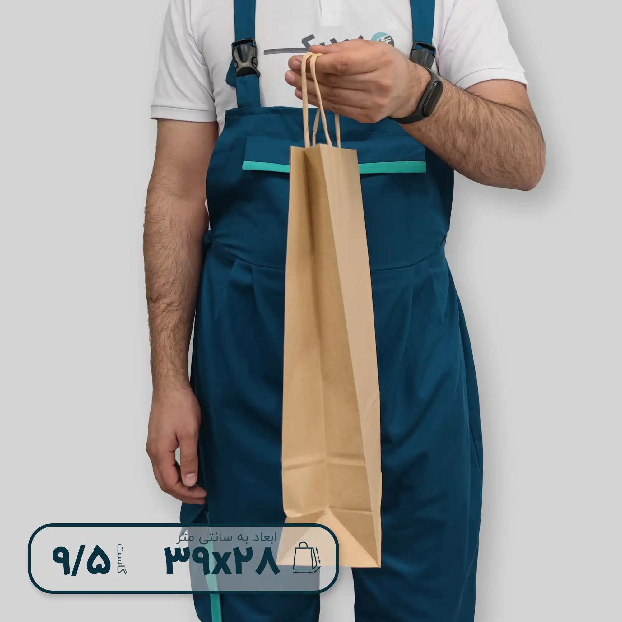 ساک دستی دسته کاغذی 3928 گاست