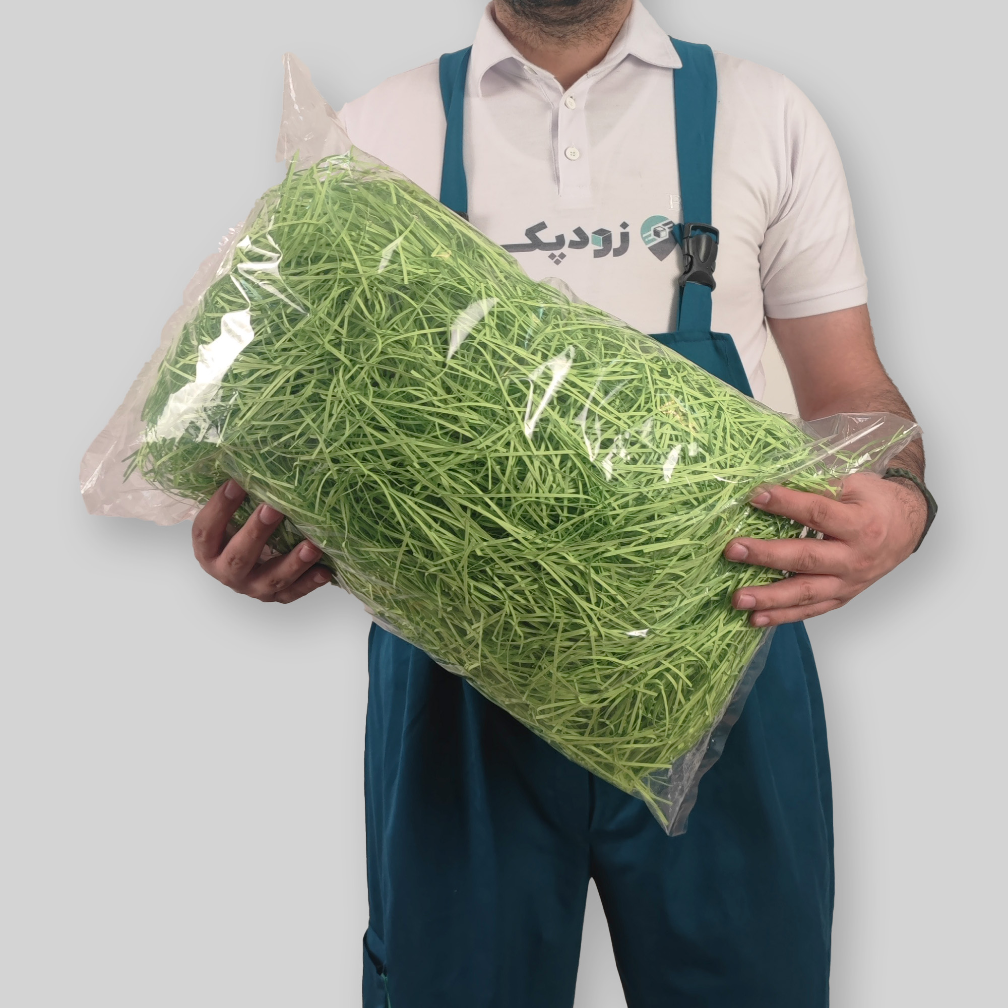 پوشال کاغذی رنگی درجه 1 - 500 گرمی - تصویر 25